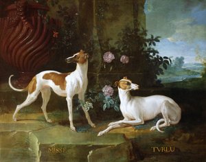 Misse and Turlu, two greyhounds of Louis XV